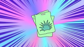 ミニ植物の種