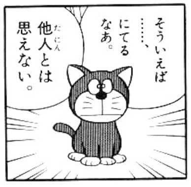 カムカムキャットフード ドラニュー