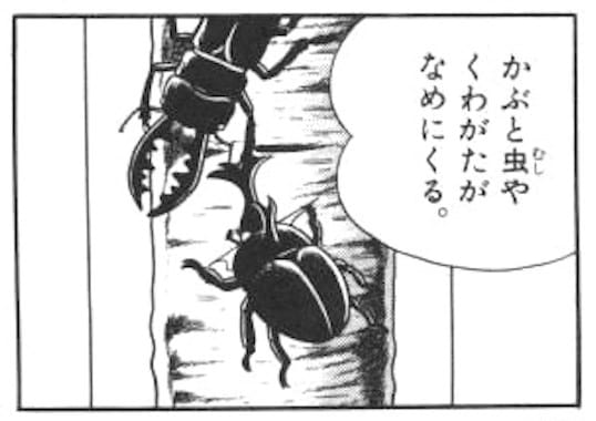 mushiyose1143.jpg 虫よせボードとカブトムシ