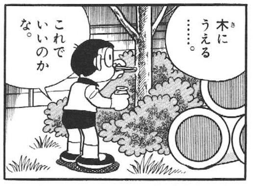 ミミダケの菌糸