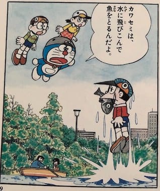 バードキャップ