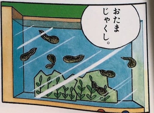 ikimono75.jpg 生き物しいくジオラマブック