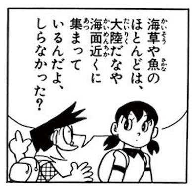 深海用海藻胞子と魚の卵各種つめあわせ